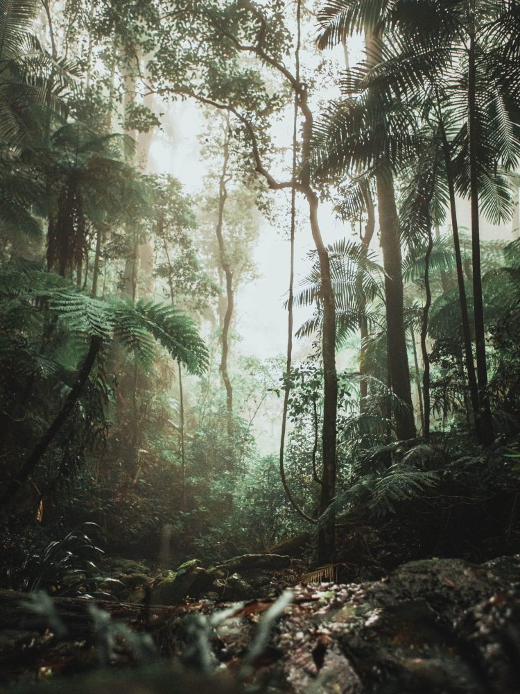 justin-clark-H7JiEU8Slnw-unsplash (1) justin-clark-H7JiEU8Slnw-unsplash (1)