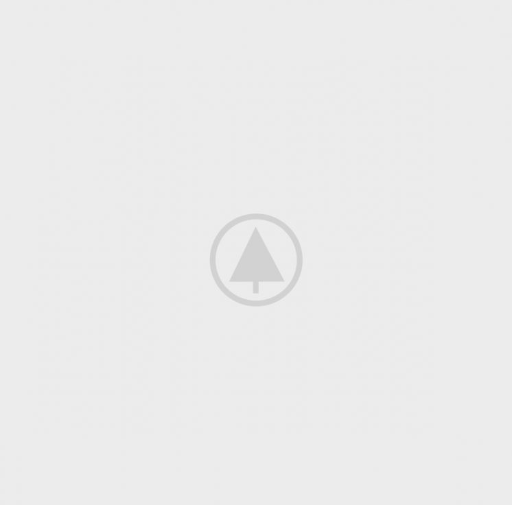 wood-gallery-placeholder-4 wood-gallery-placeholder-4